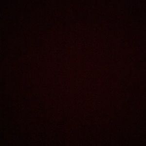 Meet your Posher, Brendan